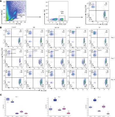 Orally Administered Brain Protein Combined With Probiotics Increases Treg Differentiation to Reduce Secondary Inflammatory Damage Following Craniocerebral Trauma